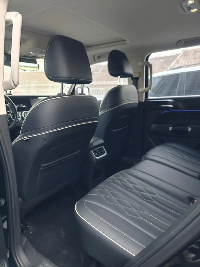 2021 Tank 300 2.0T 227HP L4 8AT,autocango,china used car exporter,china ev exporter,chinese used car exporter,chinese used ev exporter