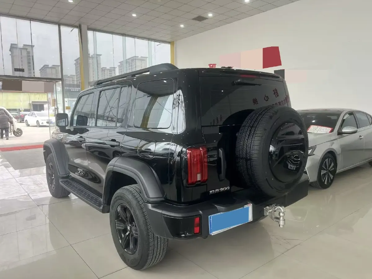 2024 Tank 300 2.0T 227HP L4 8AT,autocango,china used car exporter,china ev exporter,chinese used car exporter,chinese used ev exporter