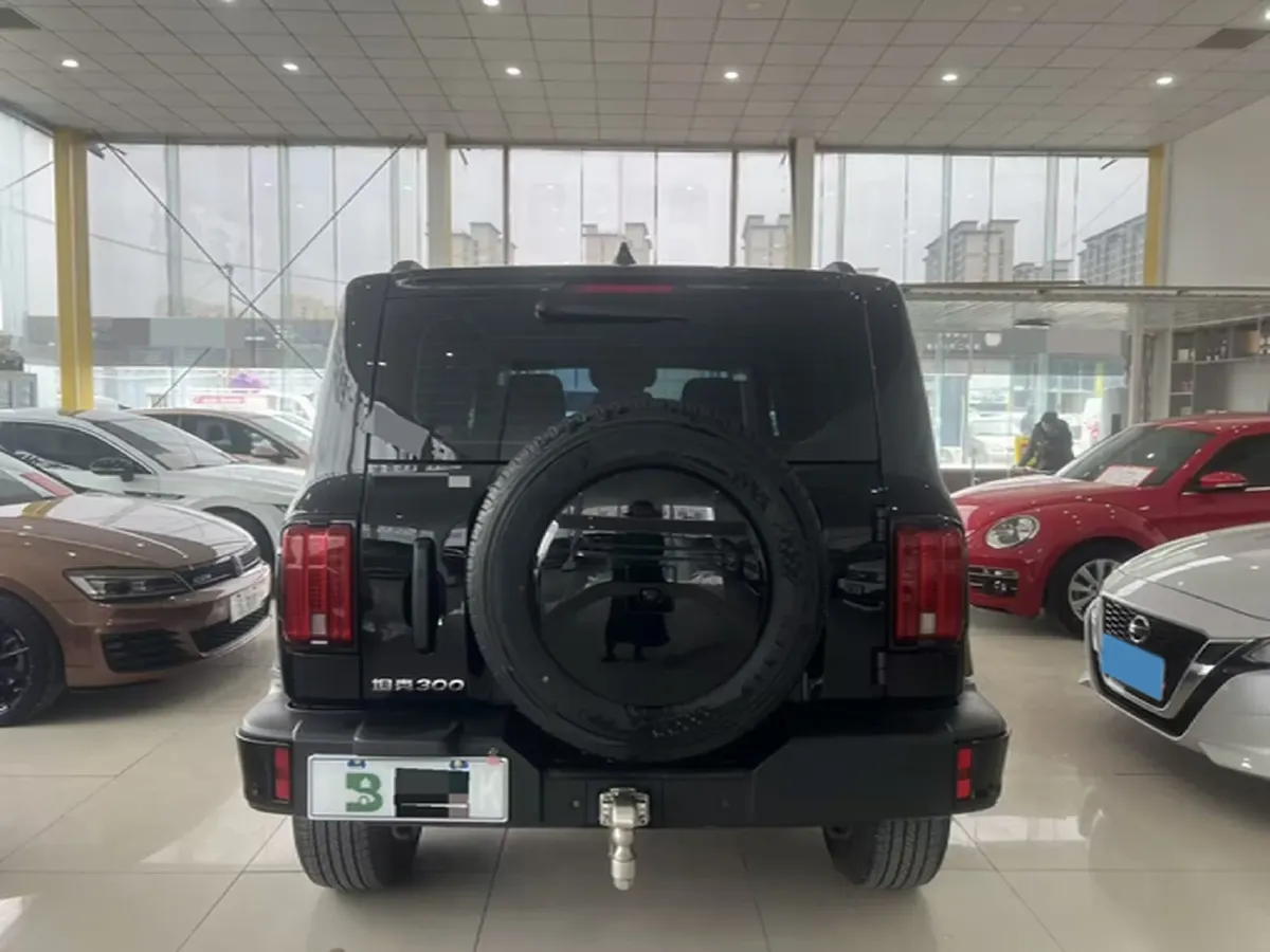 2024 Tank 300 2.0T 227HP L4 8AT,autocango,china used car exporter,china ev exporter,chinese used car exporter,chinese used ev exporter