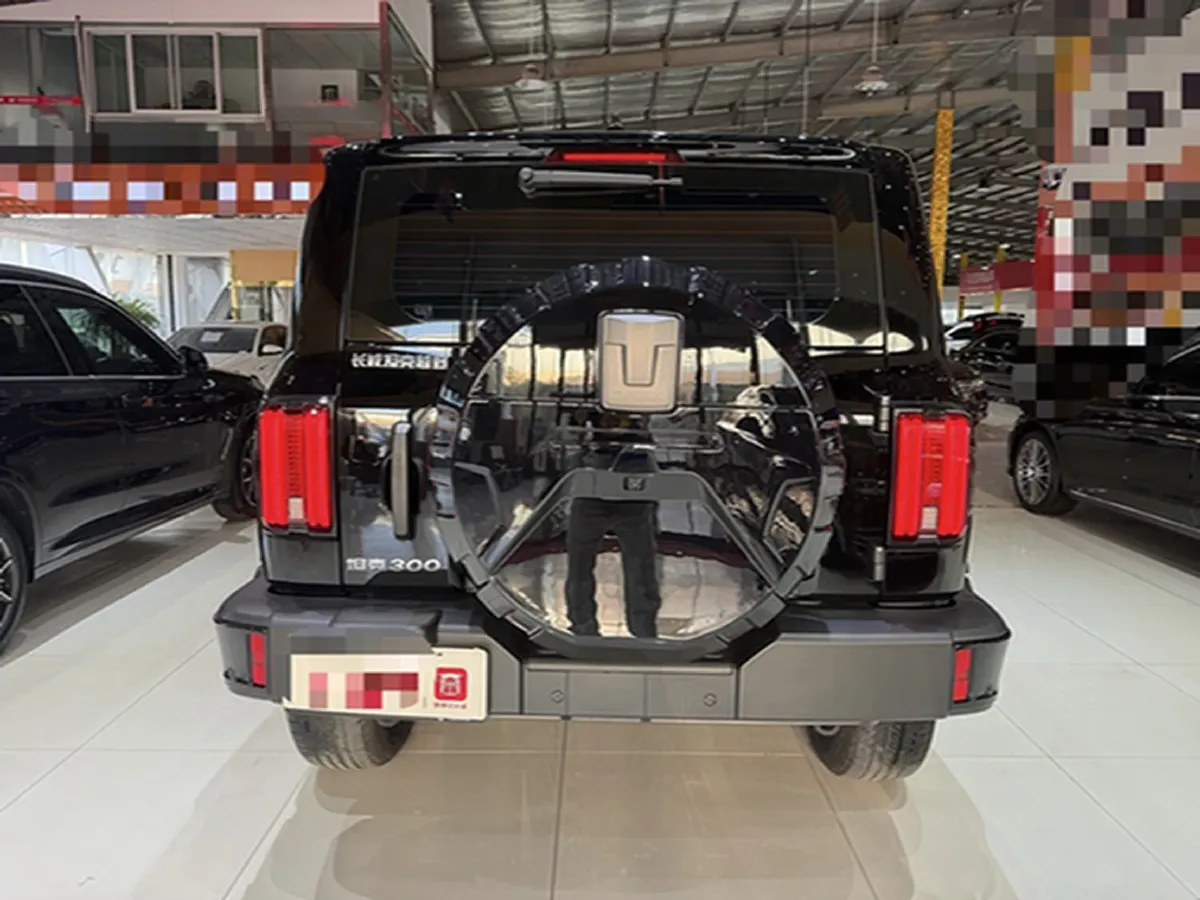 2024 Tank 300 2.0T 227HP L4 8AT,autocango,china used car exporter,china ev exporter,chinese used car exporter,chinese used ev exporter