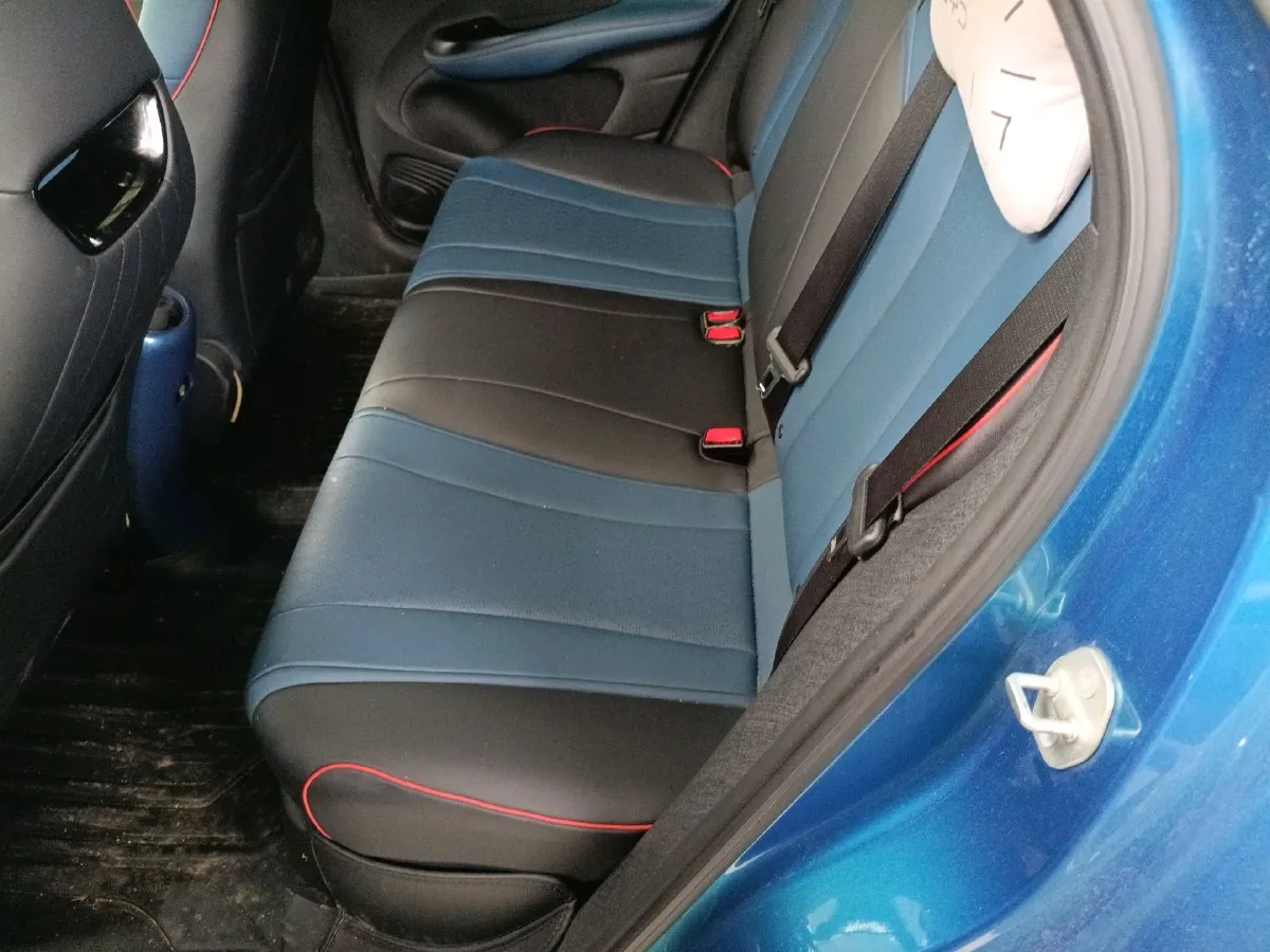 2021 BYD Yuan Pro BEV 50.1KWH,autocango,china used car exporter,china ev exporter,chinese used car exporter,chinese used ev exporter