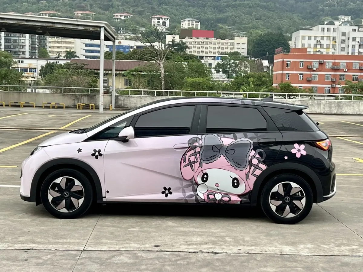 2024 BYD Dolphin BEV 44.928KWH,autocango,china used car exporter,china ev exporter,chinese used car exporter,chinese used ev exporter