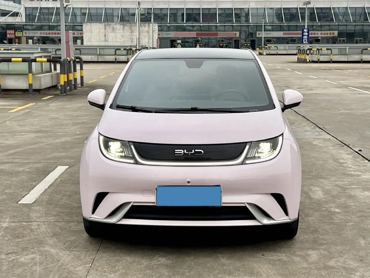 2024 BYD Dolphin BEV 44.928KWH,autocango,china used car exporter,china ev exporter,chinese used car exporter,chinese used ev exporter