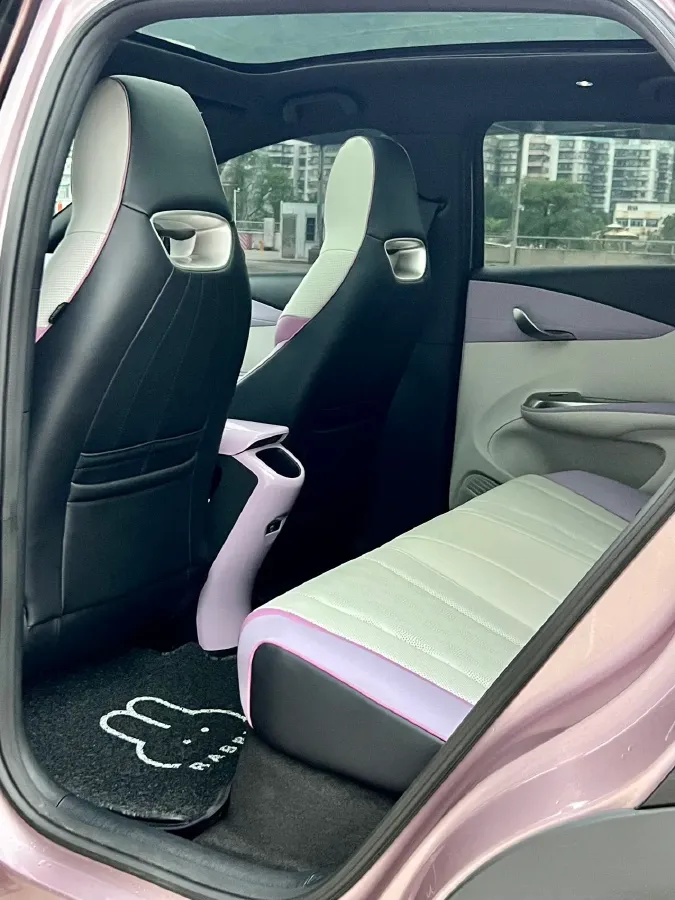 2024 BYD Dolphin BEV 44.928KWH,autocango,china used car exporter,china ev exporter,chinese used car exporter,chinese used ev exporter