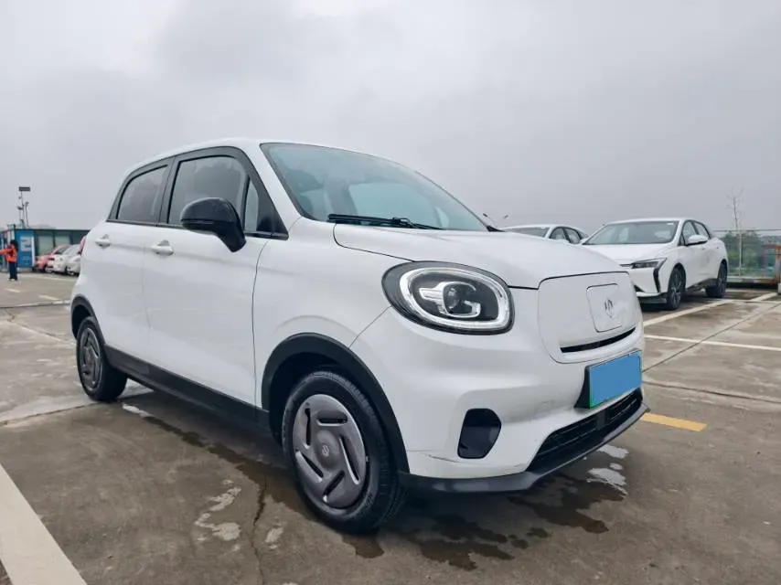 2023 Leapmotor T03 BEV 21.6KWH,autocango,china used car exporter,china ev exporter,chinese used car exporter,chinese used ev exporter