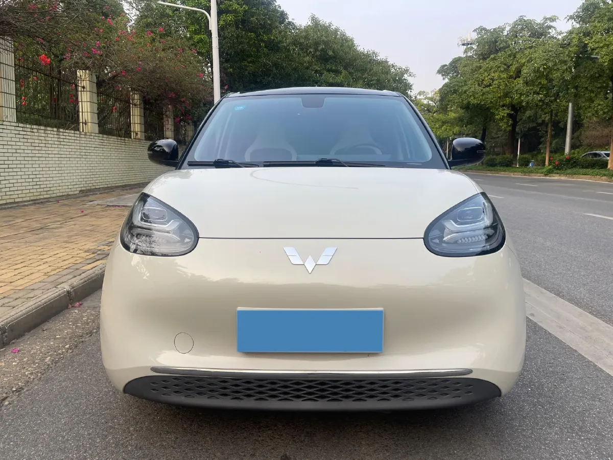 2023 WuLing BinGuo BEV 37.9KWH,autocango,china used car exporter,china ev exporter,chinese used car exporter,chinese used ev exporter