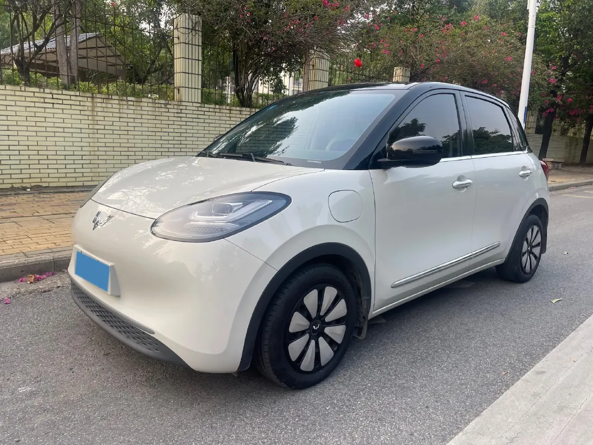 2023 WuLing BinGuo BEV 37.9KWH,autocango,china used car exporter,china ev exporter,chinese used car exporter,chinese used ev exporter