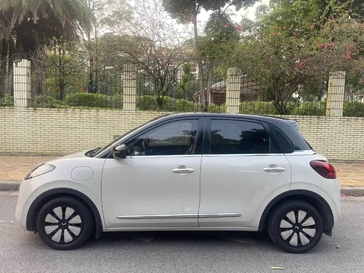 2023 WuLing BinGuo BEV 37.9KWH,autocango,china used car exporter,china ev exporter,chinese used car exporter,chinese used ev exporter