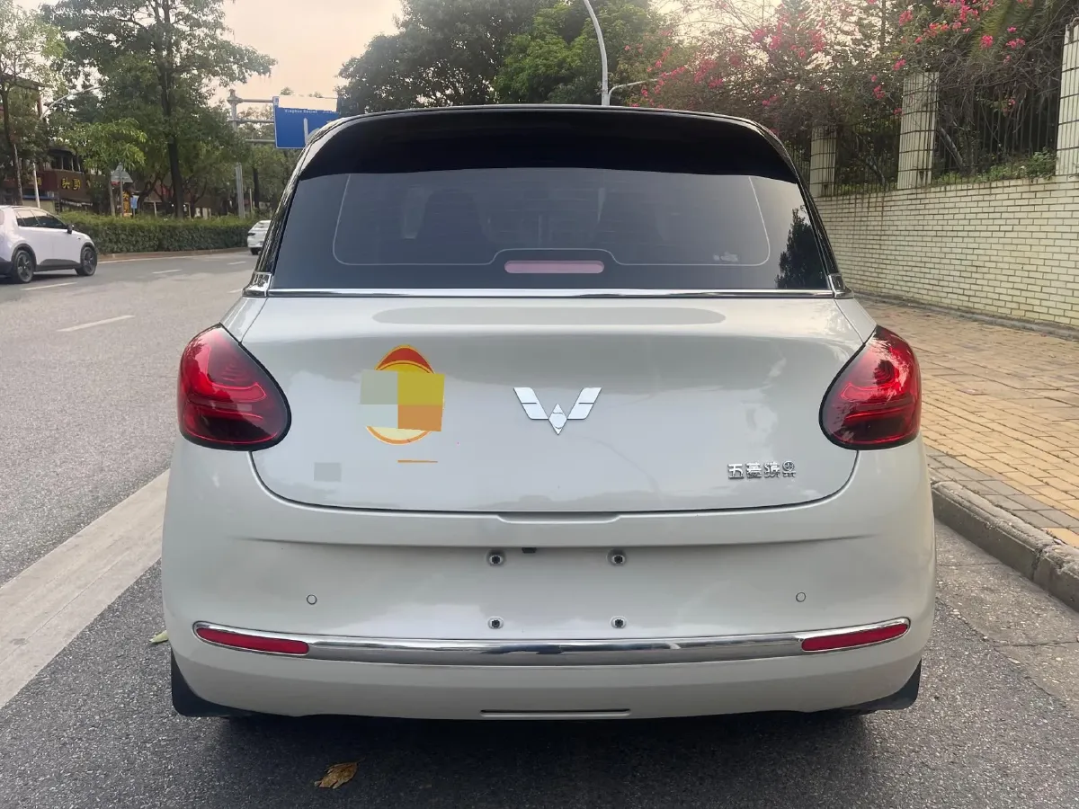 2023 WuLing BinGuo BEV 37.9KWH,autocango,china used car exporter,china ev exporter,chinese used car exporter,chinese used ev exporter