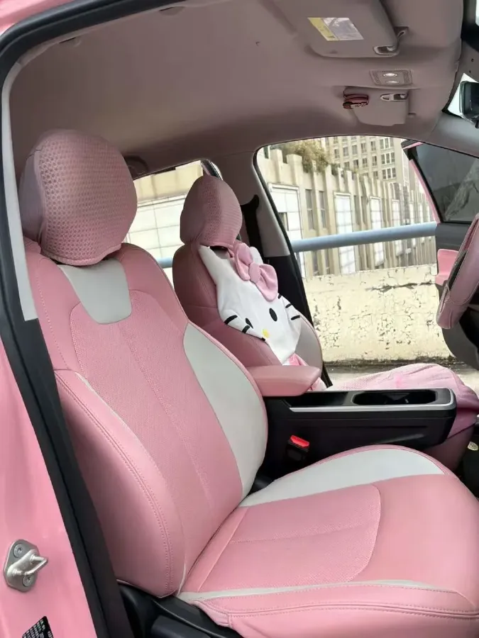 2021 Neta V BEV 38.54KWH,autocango,china used car exporter,china ev exporter,chinese used car exporter,chinese used ev exporter