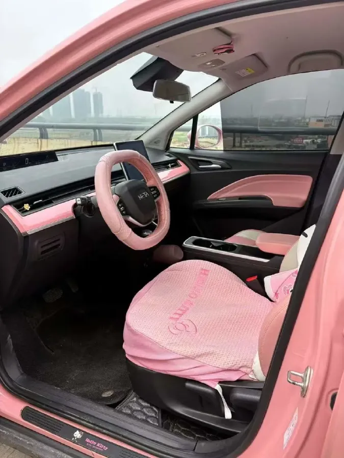 2021 Neta V BEV 38.54KWH,autocango,china used car exporter,china ev exporter,chinese used car exporter,chinese used ev exporter