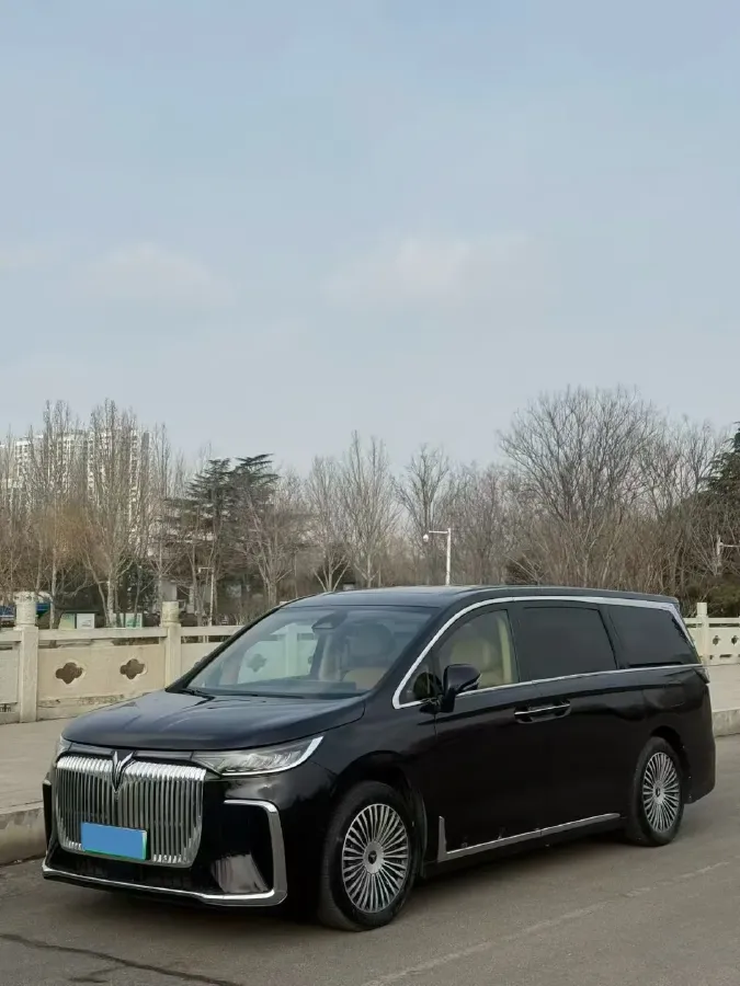 2024 Voyah FREE 1.5T 150HP L4 REEV 39.2KWH,autocango,china used car exporter,china ev exporter,chinese used car exporter,chinese used ev exporter