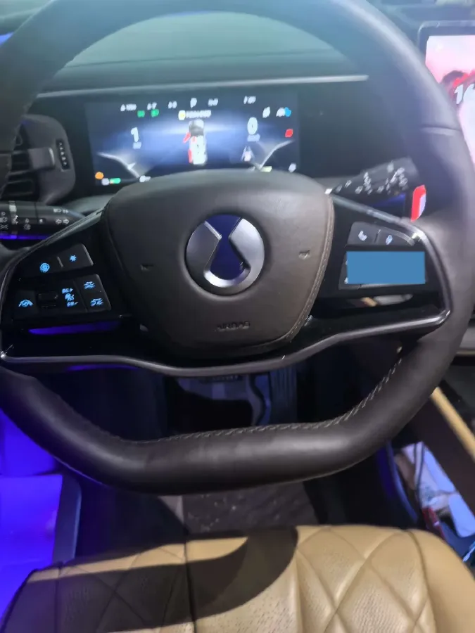 2024 Denza D9 1.5T 139HP L4 E-CVT PHEV 40KWH,autocango,china used car exporter,china ev exporter,chinese used car exporter,chinese used ev exporter