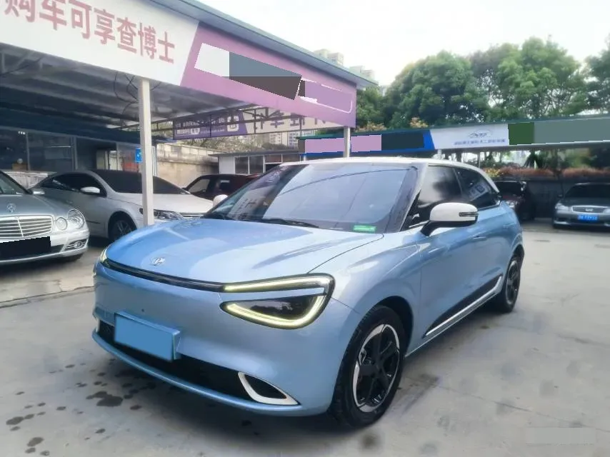 2024 DongFeng Nammi 01 BEV 42.3KWH,autocango,china used car exporter,china ev exporter,chinese used car exporter,chinese used ev exporter