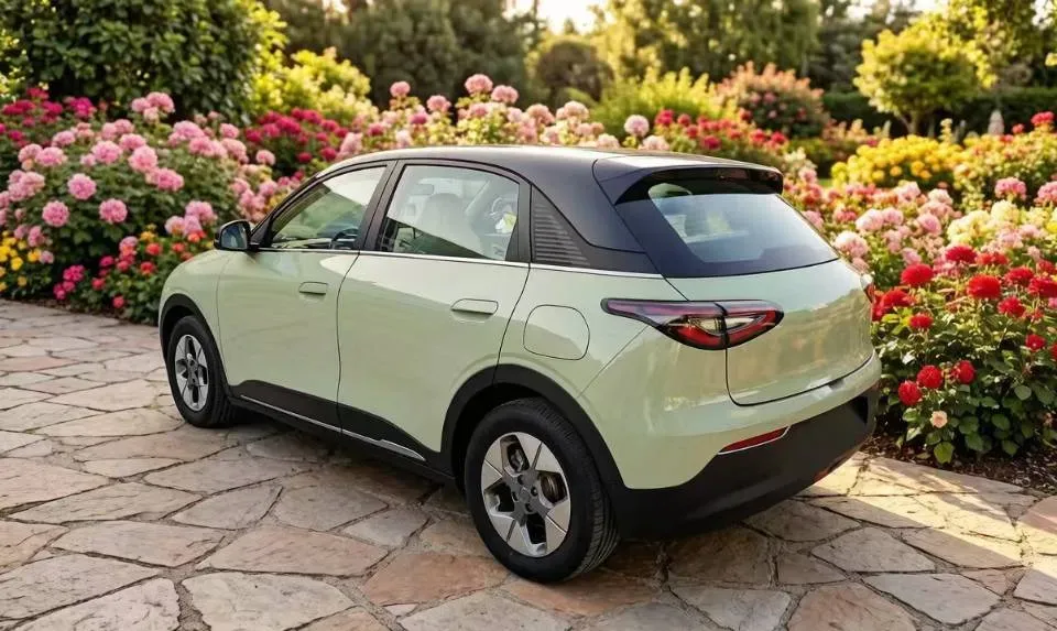 2024 Great Wall Poer King Kong 2.0T 190HP L4 8AT,autocango,china used car exporter,china ev exporter,chinese used car exporter,chinese used ev exporter