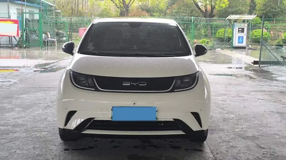 2023 BYD Dolphin BEV 44.928KWH,autocango,china used car exporter,china ev exporter,chinese used car exporter,chinese used ev exporter