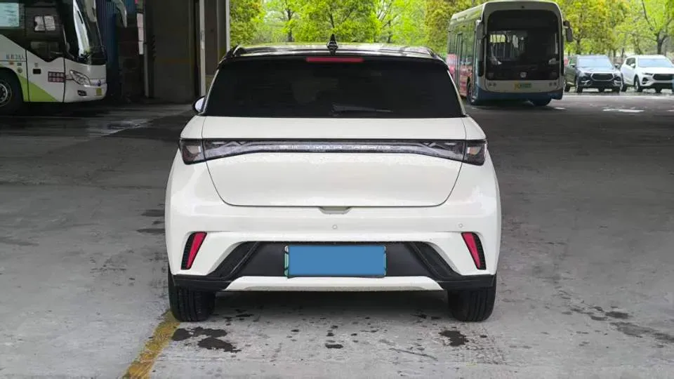 2023 BYD Dolphin BEV 44.928KWH,autocango,china used car exporter,china ev exporter,chinese used car exporter,chinese used ev exporter