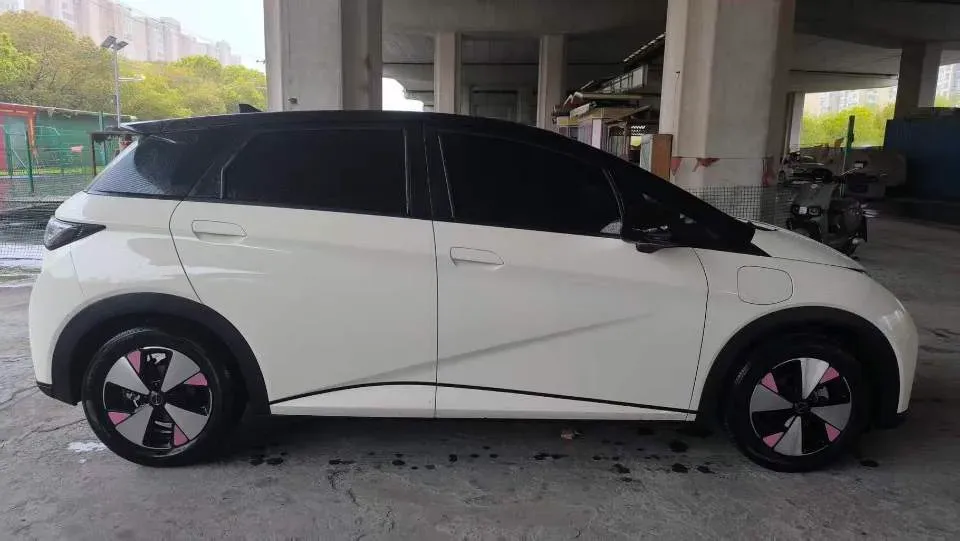 2023 BYD Dolphin BEV 44.928KWH,autocango,china used car exporter,china ev exporter,chinese used car exporter,chinese used ev exporter