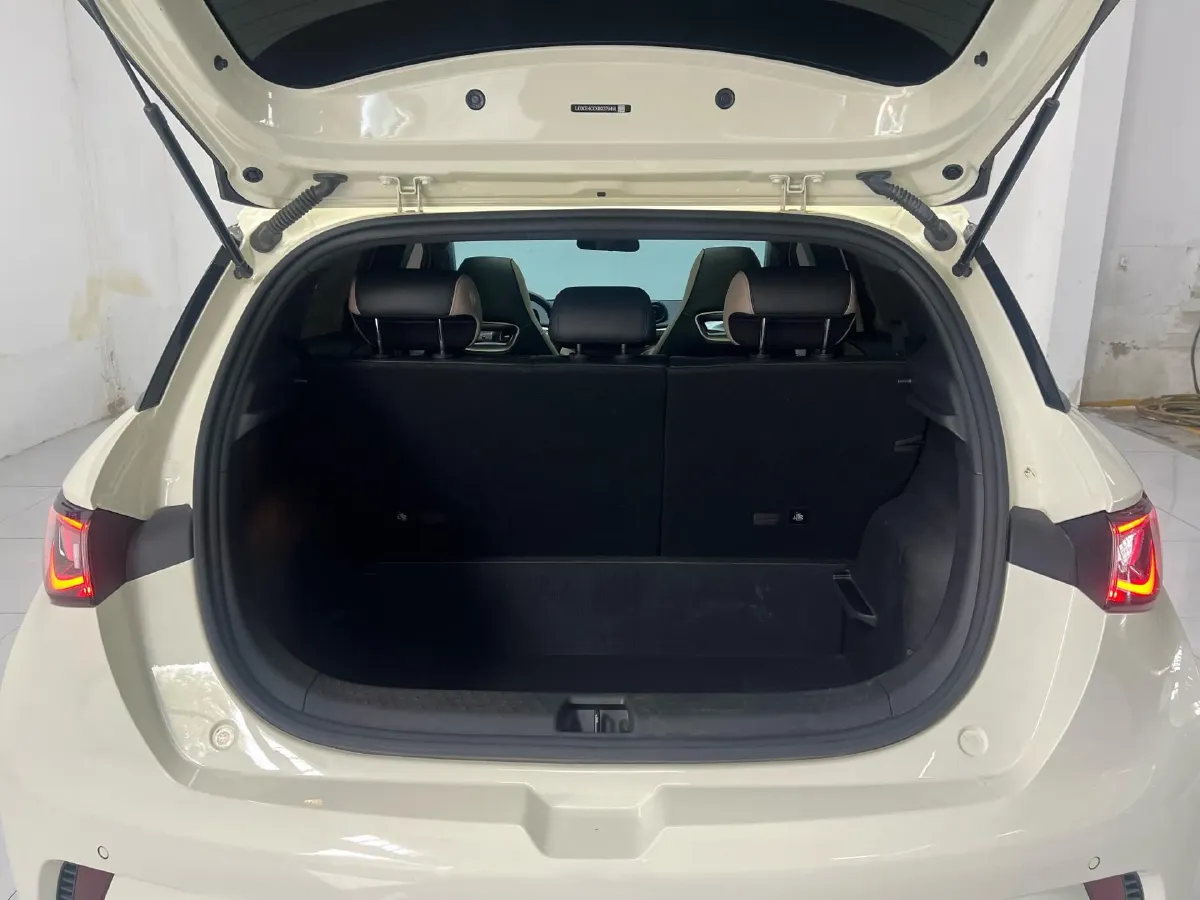 2024 BYD Dolphin BEV 44.928KWH,autocango,china used car exporter,china ev exporter,chinese used car exporter,chinese used ev exporter