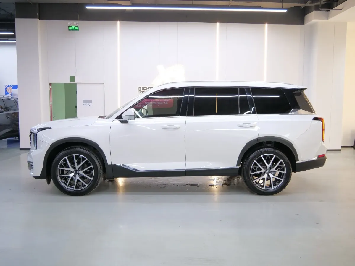 2024 GAC Trumpchi GS8 2.0T 252HP L4 8AT,autocango,china used car exporter,china ev exporter,chinese used car exporter,chinese used ev exporter