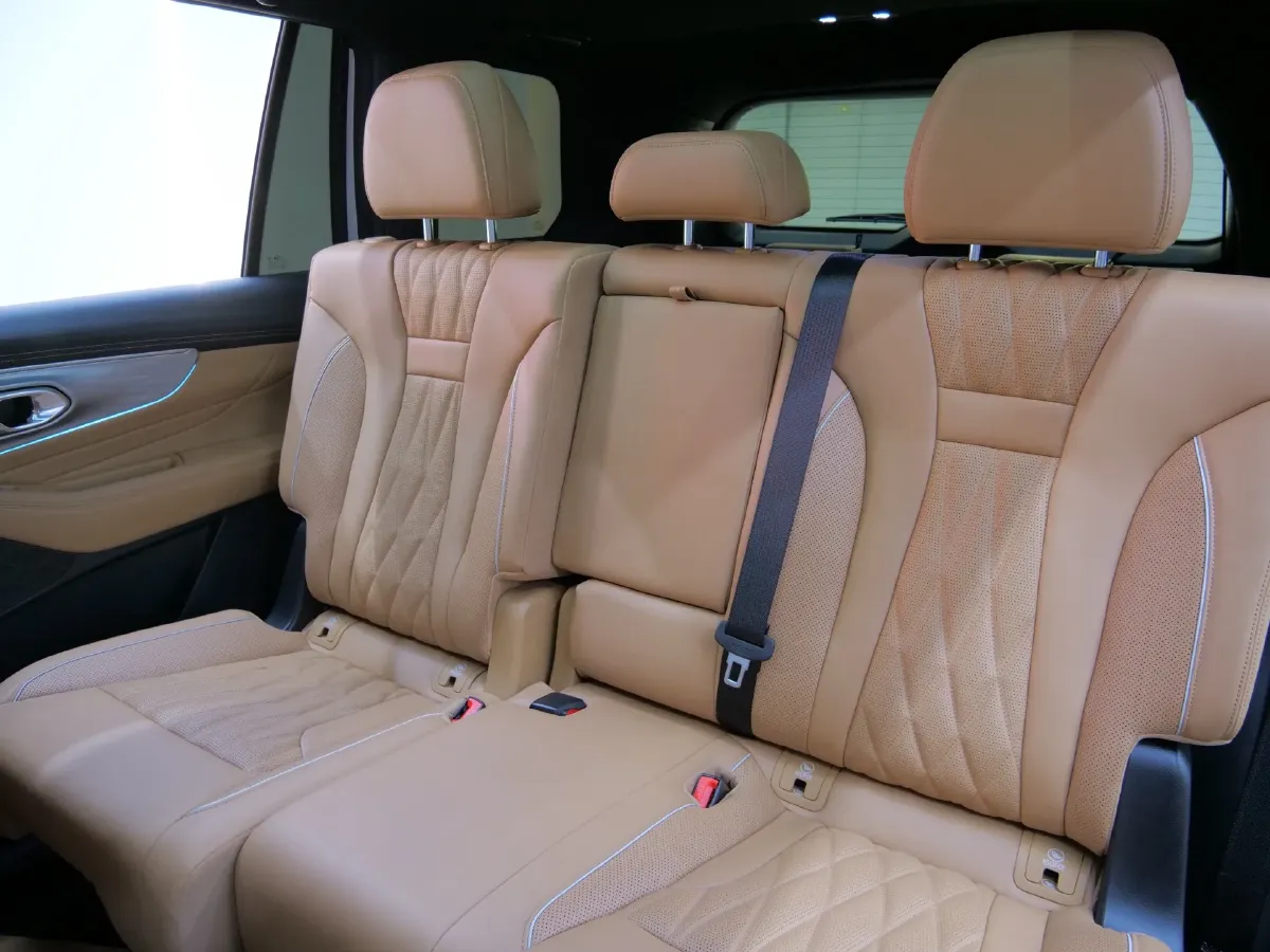 2024 GAC Trumpchi GS8 2.0T 252HP L4 8AT,autocango,china used car exporter,china ev exporter,chinese used car exporter,chinese used ev exporter