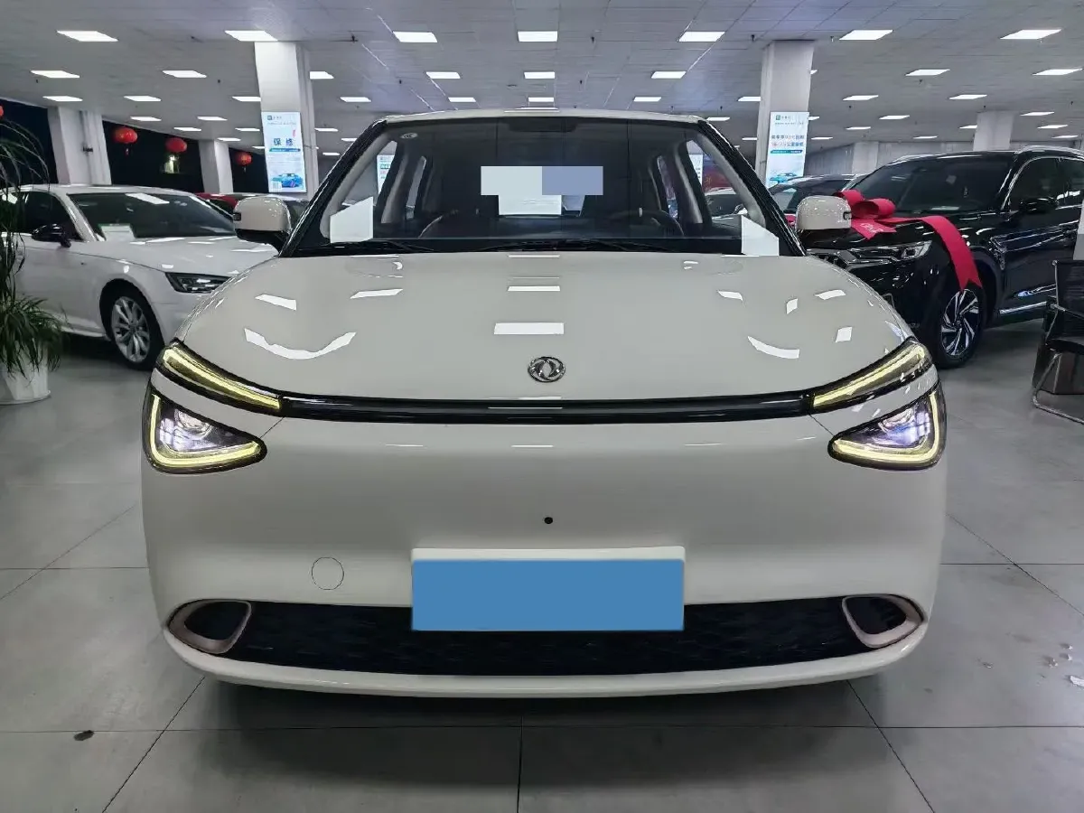 2024 DongFeng Nammi 01 BEV 42.3KWH,autocango,china used car exporter,china ev exporter,chinese used car exporter,chinese used ev exporter