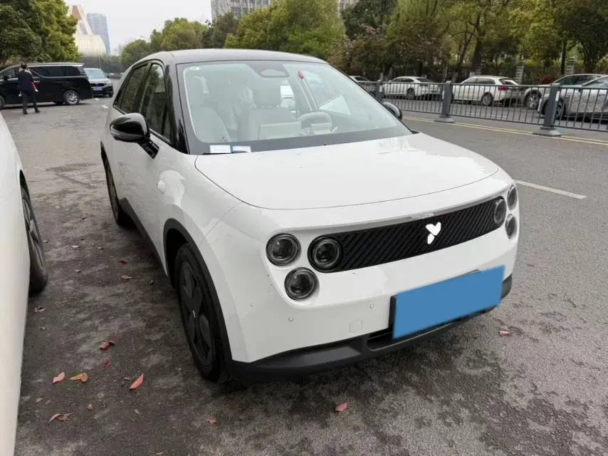 2025 Firefly Firefly BEV,autocango,china used car exporter,china ev exporter,chinese used car exporter,chinese used ev exporter