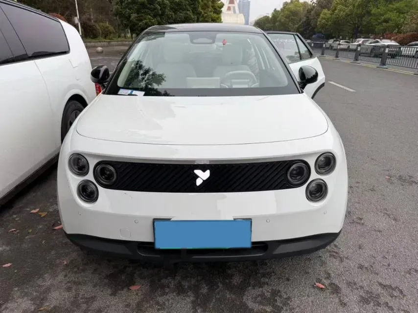 2025 Firefly Firefly BEV,autocango,china used car exporter,china ev exporter,chinese used car exporter,chinese used ev exporter