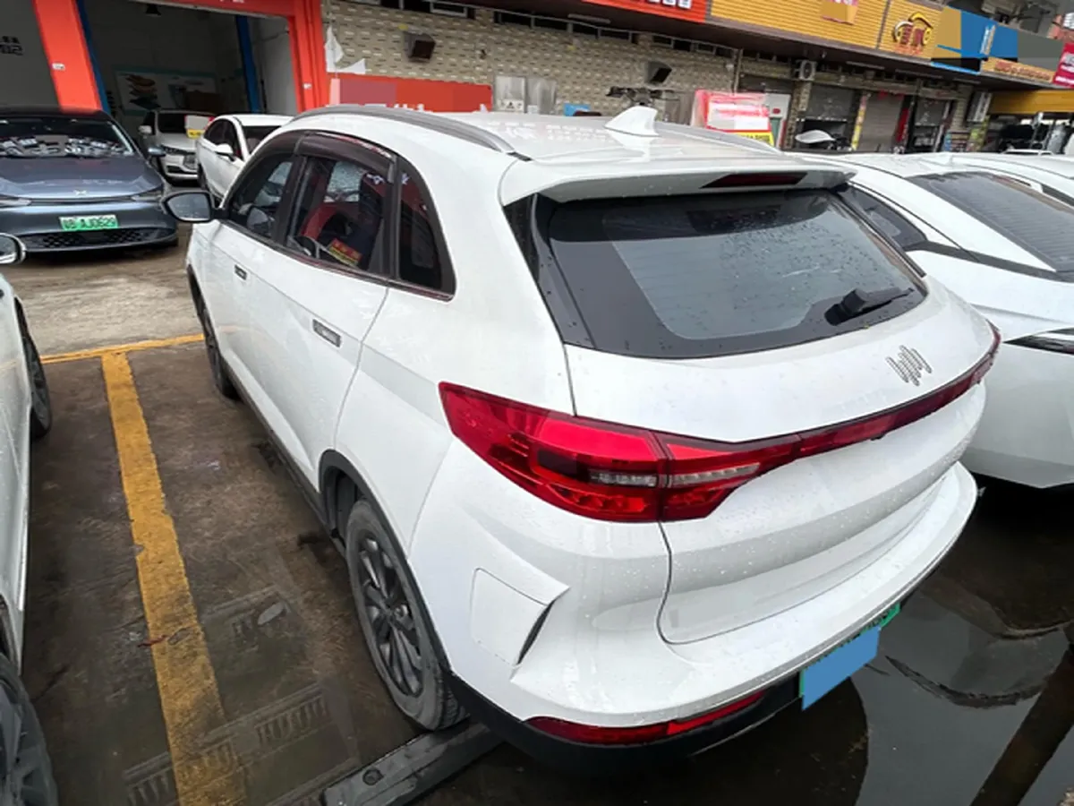 2020 Weltmeister EX5 BEV 69KWH,autocango,china used car exporter,china ev exporter,chinese used car exporter,chinese used ev exporter