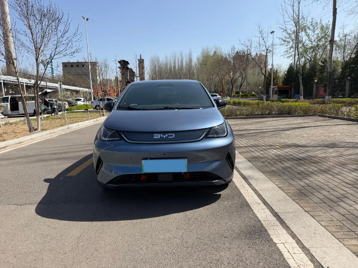 2025 BYD Dolphin BEV 44.928KWH,autocango,china used car exporter,china ev exporter,chinese used car exporter,chinese used ev exporter