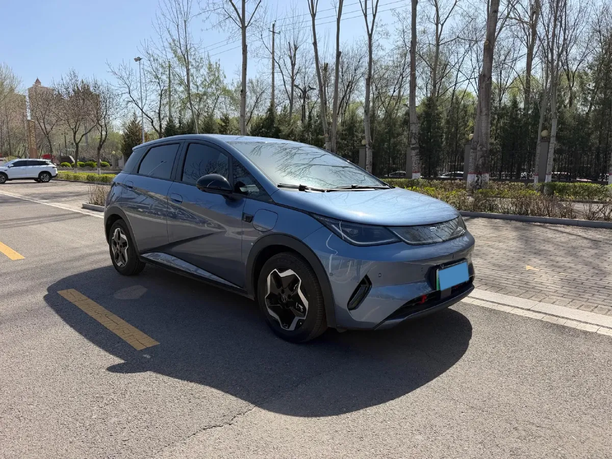 2025 BYD Dolphin BEV 44.928KWH,autocango,china used car exporter,china ev exporter,chinese used car exporter,chinese used ev exporter