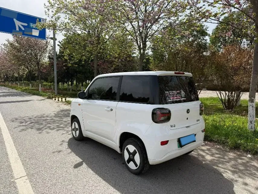 2024 ZD Rainbow BEV 17.3KWH,autocango,china used car exporter,china ev exporter,chinese used car exporter,chinese used ev exporter