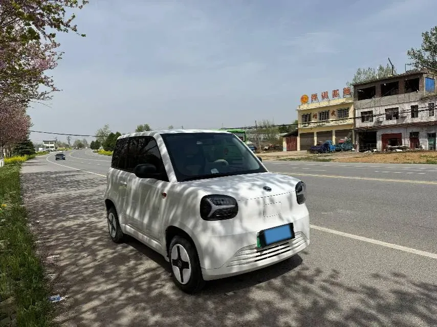 2024 ZD Rainbow BEV 17.3KWH,autocango,china used car exporter,china ev exporter,chinese used car exporter,chinese used ev exporter