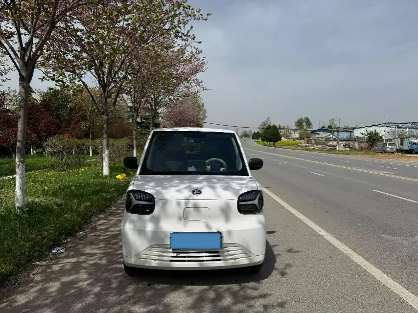 2024 ZD Rainbow BEV 17.3KWH,autocango,china used car exporter,china ev exporter,chinese used car exporter,chinese used ev exporter