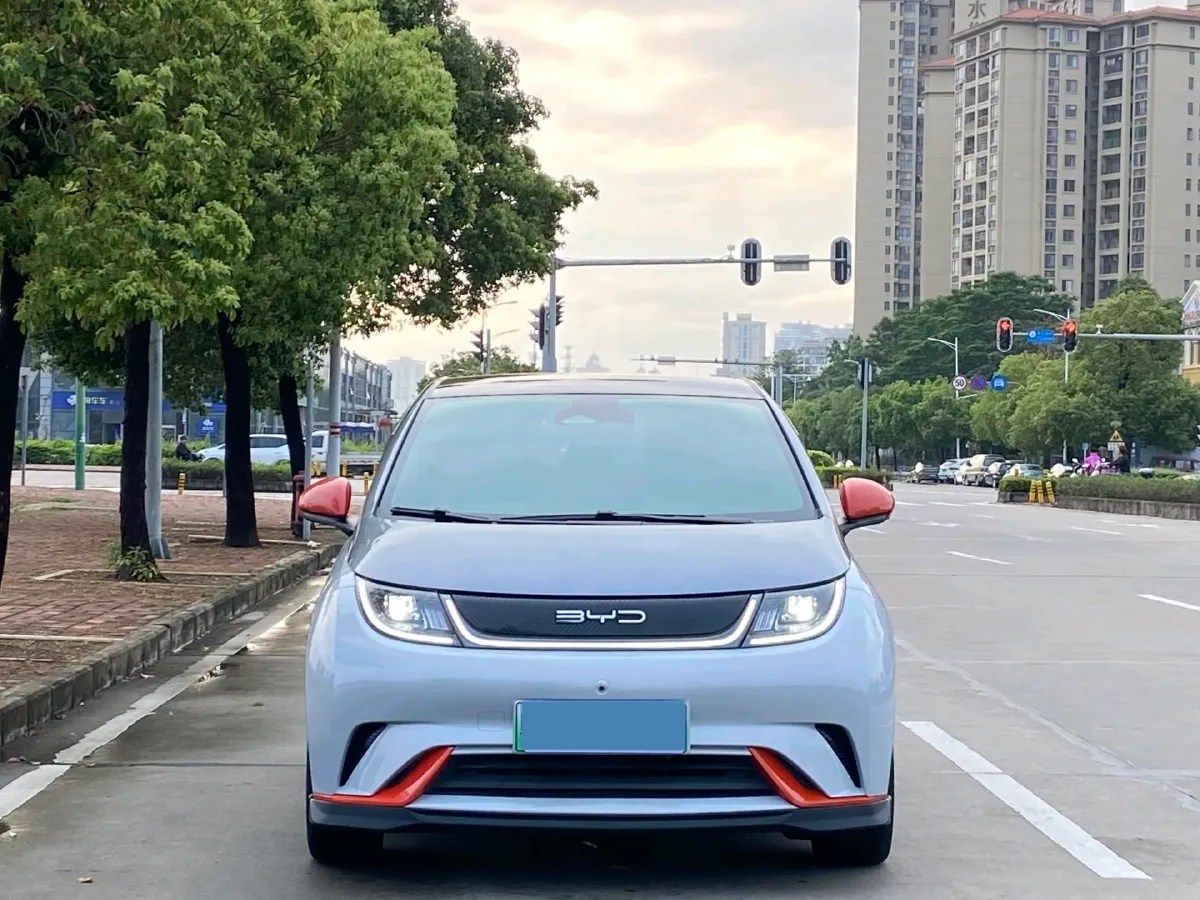 2021 BYD e2 BEV 43.2KWH,autocango,china used car exporter,china ev exporter,chinese used car exporter,chinese used ev exporter