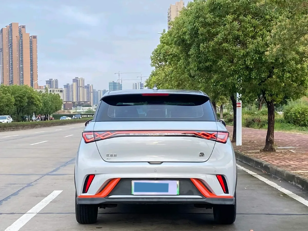 2021 BYD e2 BEV 43.2KWH,autocango,china used car exporter,china ev exporter,chinese used car exporter,chinese used ev exporter