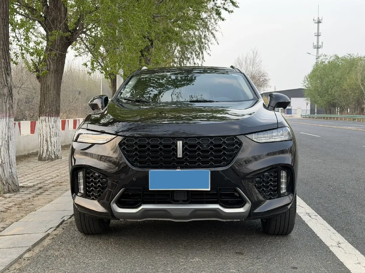 2019 WEY VV7 2.0T 234HP L4 7DCT,autocango,china used car exporter,china ev exporter,chinese used car exporter,chinese used ev exporter
