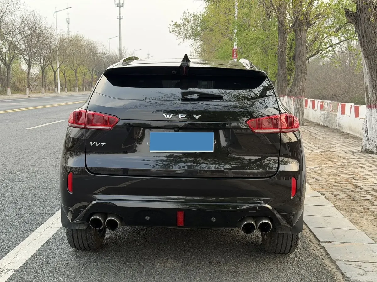 2019 WEY VV7 2.0T 234HP L4 7DCT,autocango,china used car exporter,china ev exporter,chinese used car exporter,chinese used ev exporter