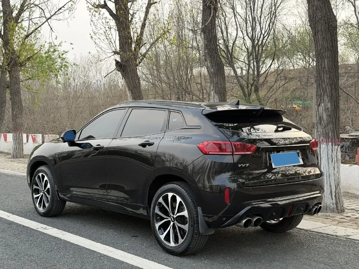 2019 WEY VV7 2.0T 234HP L4 7DCT,autocango,china used car exporter,china ev exporter,chinese used car exporter,chinese used ev exporter