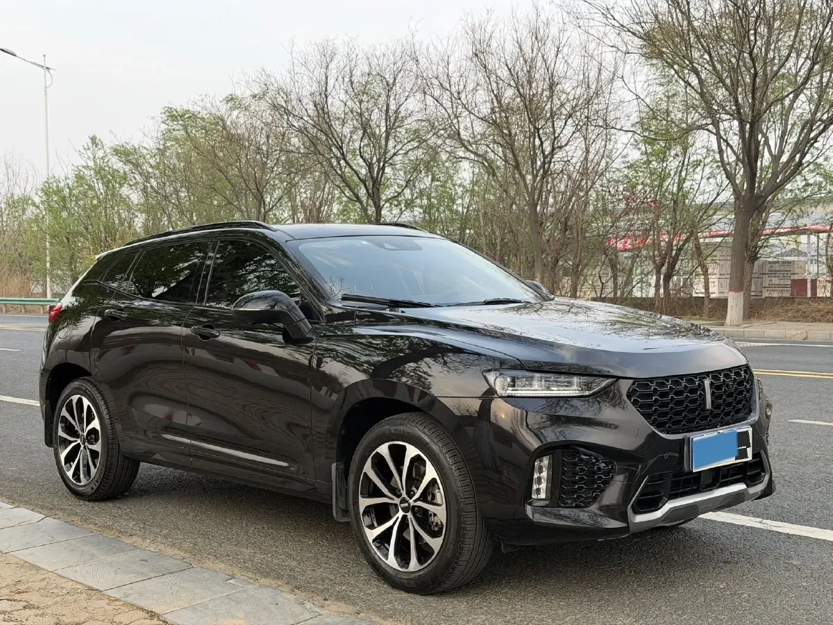 2019 WEY VV7 2.0T 234HP L4 7DCT,autocango,china used car exporter,china ev exporter,chinese used car exporter,chinese used ev exporter