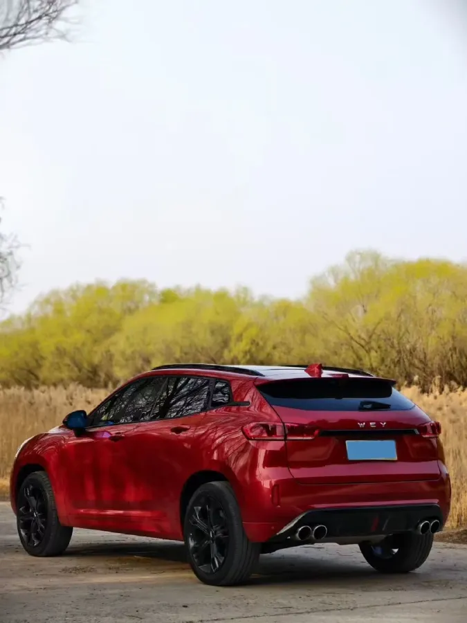 2017 WEY VV7 2.0T 234HP L4 7DCT,autocango,china used car exporter,china ev exporter,chinese used car exporter,chinese used ev exporter