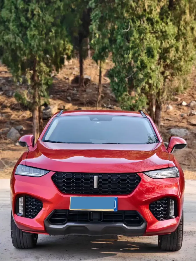 2017 WEY VV7 2.0T 234HP L4 7DCT,autocango,china used car exporter,china ev exporter,chinese used car exporter,chinese used ev exporter