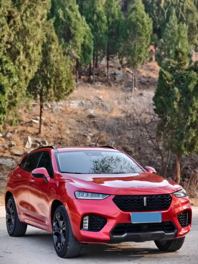 2017 WEY VV7 2.0T 234HP L4 7DCT,autocango,china used car exporter,china ev exporter,chinese used car exporter,chinese used ev exporter