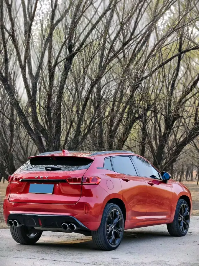 2017 WEY VV7 2.0T 234HP L4 7DCT,autocango,china used car exporter,china ev exporter,chinese used car exporter,chinese used ev exporter