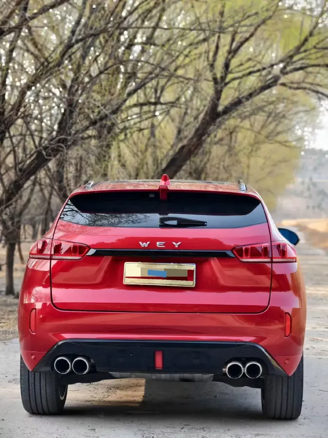 2017 WEY VV7 2.0T 234HP L4 7DCT,autocango,china used car exporter,china ev exporter,chinese used car exporter,chinese used ev exporter