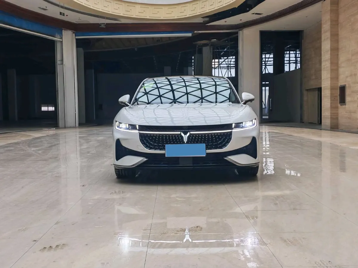 2024 Voyah ZhuiGuang 1.5T 136HP L4 PHEV 43KWH,autocango,china used car exporter,china ev exporter,chinese used car exporter,chinese used ev exporter