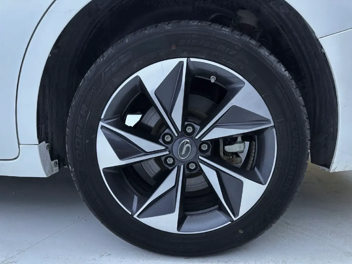 2021 GAC Trumpchi M6 1.5T 169HP L4 7DCT,autocango,china used car exporter,china ev exporter,chinese used car exporter,chinese used ev exporter