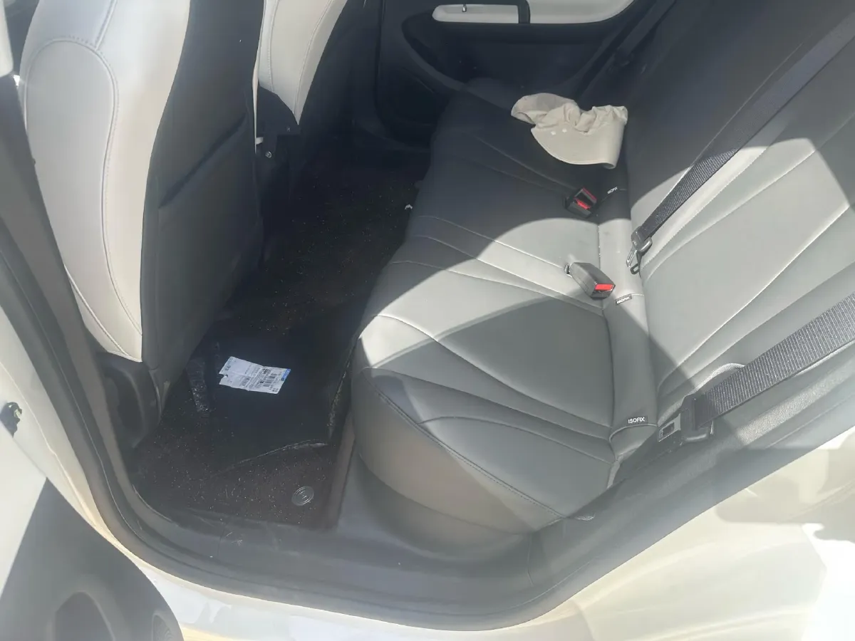 2026 DongFeng eπ 01 BEV,autocango,china used car exporter,china ev exporter,chinese used car exporter,chinese used ev exporter