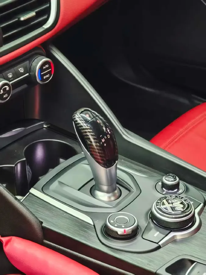 2017 Ford Mustang 2.3T 314HP L4 6AT,autocango,china used car exporter,china ev exporter,chinese used car exporter,chinese used ev exporter