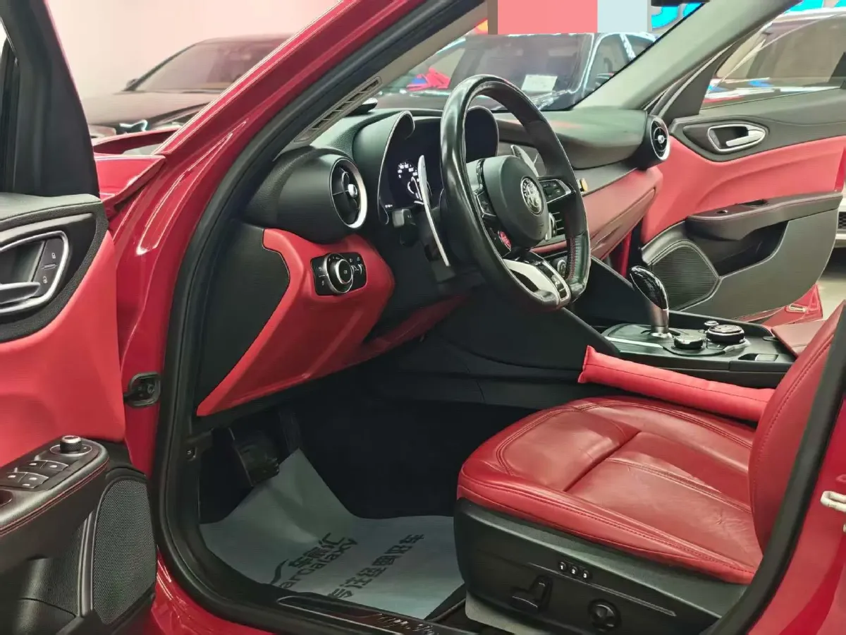 2017 Ford Mustang 2.3T 314HP L4 6AT,autocango,china used car exporter,china ev exporter,chinese used car exporter,chinese used ev exporter